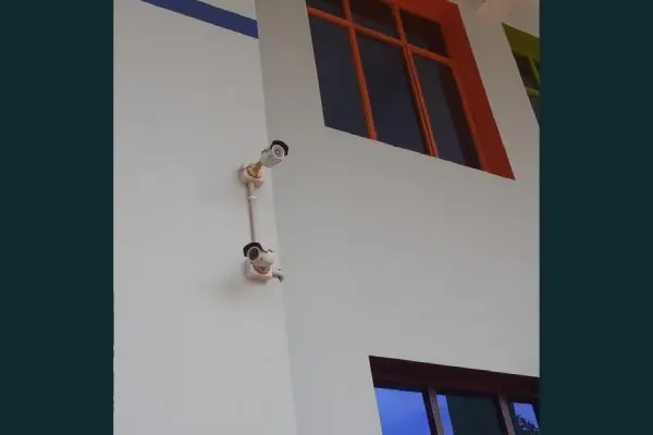 safety-and-security-1